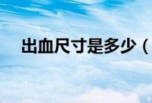 出血尺寸是多少(出血尺寸是什么意思)