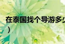 在泰国找个导游多少钱（泰国私人导游可以睡）