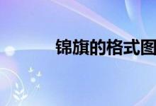 锦旗的格式图片（锦旗的格式）