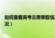 如何查看高考志愿录取情况查询（如何查看高考志愿录取情况）