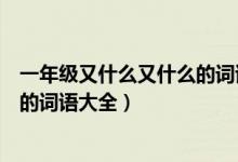 一年级又什么又什么的词语大全成语（一年级又什么又什么的词语大全）