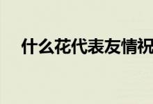 什么花代表友情祝福（什么花代表友情）
