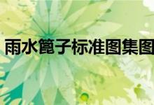 雨水篦子标准图集图片（雨水篦子标准图集）