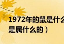 1972年的鼠是什么命 五行属什么（1971年是属什么的）