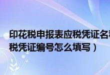 印花税申报表应税凭证名称怎么填（印花税纳税申报表中应税凭证编号怎么填写）