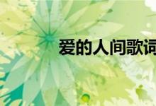 爱的人间歌词 爱的人间歌介绍