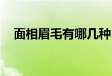 面相眉毛有哪几种 有关眉毛的相学面相）