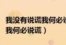 我没有说谎我何必说谎是什么歌（我没有说谎我何必说谎）