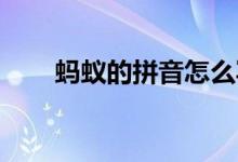 蚂蚁的拼音怎么写 词语蚂蚁的拼音）
