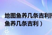 地图鱼养几条吉利招财有什么风水寓意（地图鱼养几条吉利）