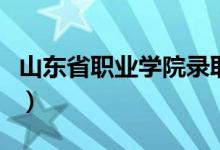 山东省职业学院录取线(山东职业学院分数线)