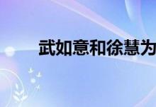 武如意和徐慧为什么反目（武如意）
