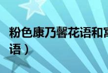 粉色康乃馨花语和寓意送朋友（粉色康乃馨花语）