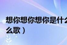 想你想你想你是什么歌曲（想你想你想你是什么歌）