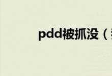 pdd被抓没(我的好友被加爆了