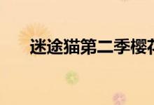 迷途猫第二季樱花（迷途猫樱花动漫）