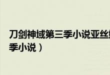 刀剑神域第三季小说亚丝娜什么时候进游戏(刀剑神域第三季小说)