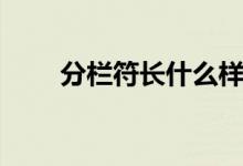 分栏符长什么样（分栏符怎么使用）