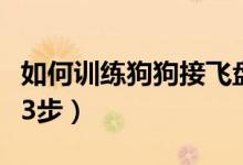 如何训练狗狗接飞盘并捡回来（狗狗训练只需3步）