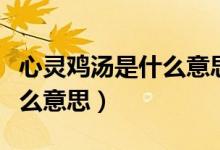 心灵鸡汤是什么意思网络用语(心灵鸡汤是什么意思)