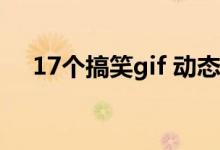 17个搞笑gif 动态图（一切来的太突然）