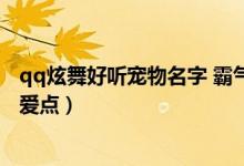 qq炫舞好听宠物名字 霸气炫舞厉害的宠物名字威风凛凛-可爱点）