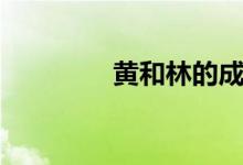 黄和林的成语（林的成语）