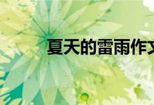 夏天的雷雨作文（夏天的雨作文）
