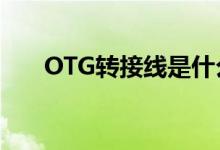 OTG转接线是什么东西（otg转接线）