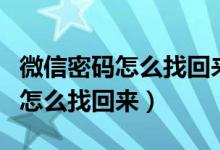 微信密码怎么找回来没有手机号码（微信密码怎么找回来）