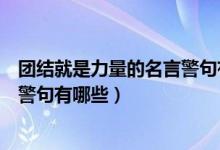 团结就是力量的名言警句有哪些超短（团结就是力量的名言警句有哪些）