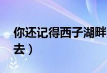 你还记得西子湖畔的夏雨荷吗 夏日江南何处去）