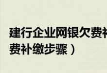 建行企业网银欠费补缴方式(建行企业网银欠费补缴步骤)