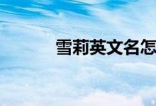 雪莉英文名怎么写（雪莉英文）