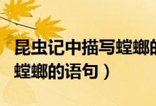 昆虫记中描写螳螂的语句摘抄（昆虫记中描写螳螂的语句）