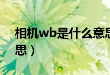 相机wb是什么意思翻译（相机wb是什么意思）