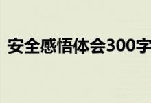 安全感悟体会300字（安全感悟300字左右）