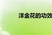 洋金花的功效与作用（杨金花）