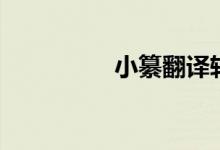 小纂翻译转换器（小纂）