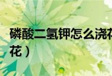 磷酸二氢钾怎么浇花视频（磷酸二氢钾怎么浇花）