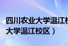 四川农业大学温江校区录取分数线（四川农业大学温江校区）