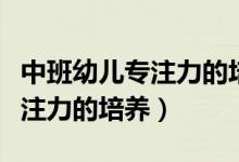 中班幼儿专注力的培养课题研究（中班幼儿专注力的培养）
