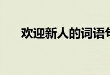欢迎新人的词语句子（欢迎新人的词）