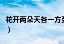 花开两朵天各一方张嘉佳（花开两朵天各一方）