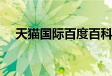 天猫国际百度百科（天猫国际商城首页）