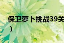 保卫萝卜挑战39关怎么过（保卫萝卜挑战39）