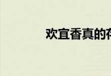 欢宜香真的存在吗（欢宜香）