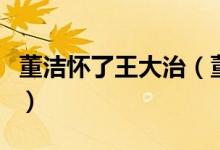 董洁怀了王大治（董洁出轨王大治原因是什么）