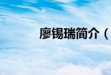 廖锡瑞简介（廖锡俊之子廖飞）