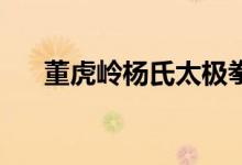 董虎岭杨氏太极拳85式视频（董虎岭）